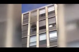 تصاویر عجیب از سقوط آزاد گربه از بالای برج‌آتش گرفته+فیلم