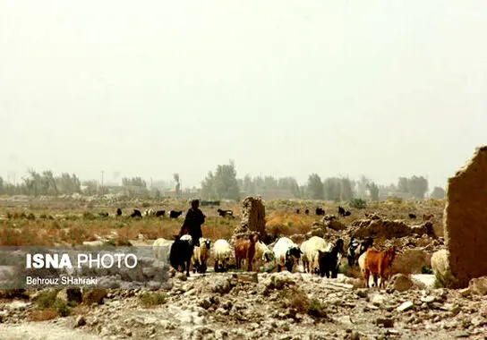 طوفان در زابل