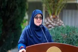 حمله تندروها به رئیس‌جمهور؛ واکنش کوبنده دولت به سناریوی عدم کفایت