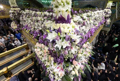 امام رضا(ع)