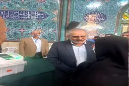 معاون پارلمانی رئیس‌جمهور در انتخابات شرکت کرد