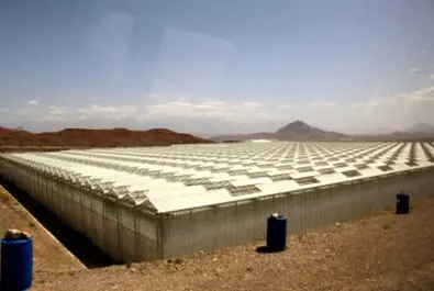 گلخانه شیشه‌ایی