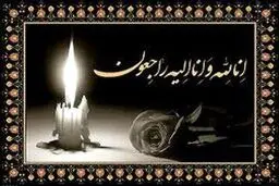 انالله و انا الیه راجعون | معاون پیشین وزیر ارشاد درگذشت