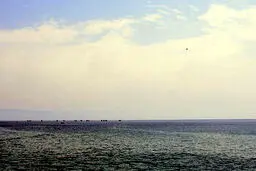 آب به سوسنگرد رسید 