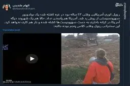 بی تفاوتی آمریکا در کشته شدن شهروندانش مثال زدنی است+ فیلم
