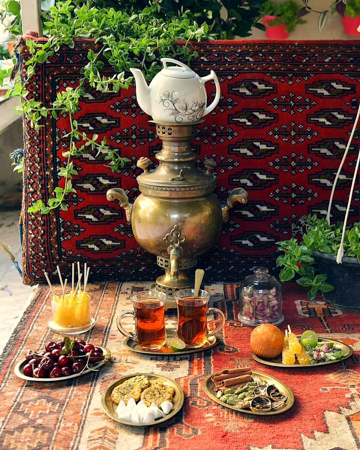 فواید چای چیست؟ + چای بخوریم یانه؟