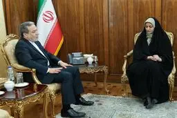 دیدار سرکنسول جدید ایران در آلماتی با عراقچی پیش از عزیمت به محل مأموریت
