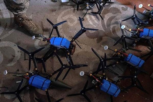 افشاگری سفیر ایران: ریزپرنده‌ها از خاک کشورهای همسایه آمدند!