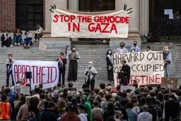 شوک ترامپ به دانشگاه هاروارد ؛ همه خارجی‌ها اخراج می‌شوند؟