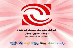 رکورد شکنی سود در«شوینده»
