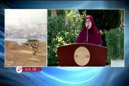  بسته حمایتی دولت برای خانواده جانباختگان معدن طبس