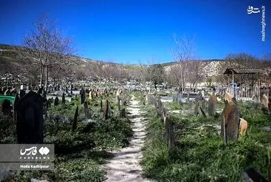 گورستان سفیدچاه