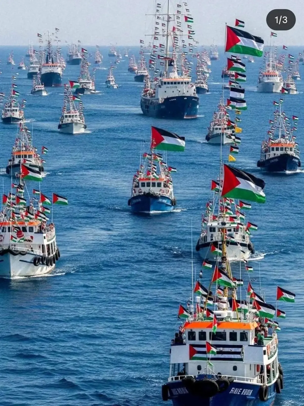 تصویر دیدنی از کشتی های جهانی برای شکستن محاصره غزه