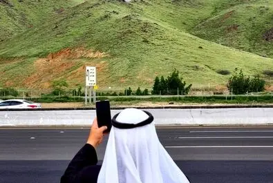 سبز شدن عربستان