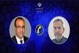 رایزنی تلفنی باقری و وزیر امور خارجه مصر