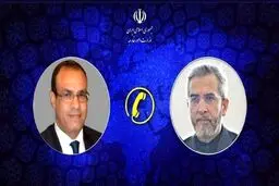 رایزنی تلفنی باقری و وزیر امور خارجه مصر