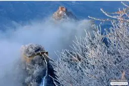 فرجام دزدی آجر‌های خوش یُمن دیوار چین+عکس