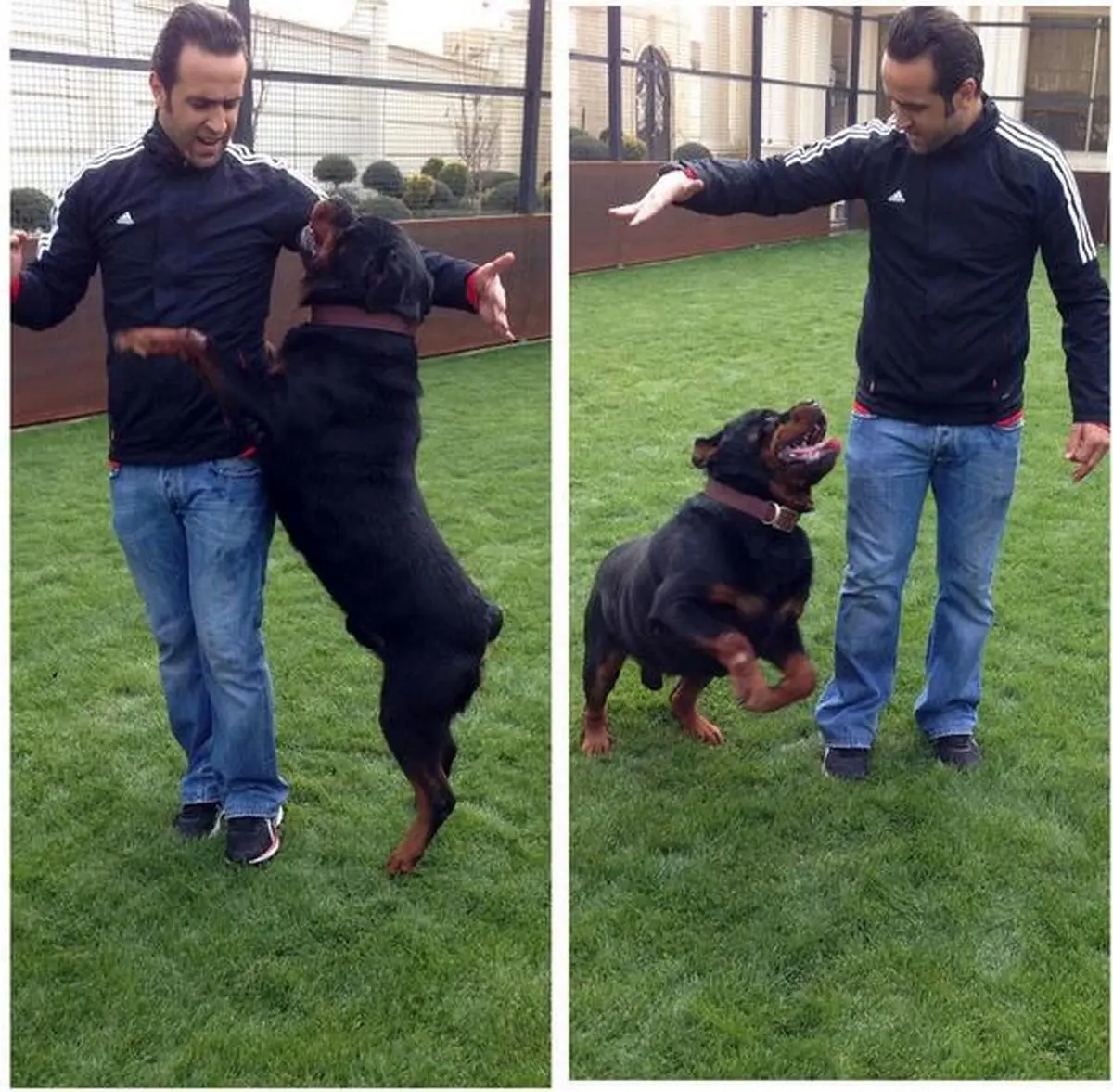 علی کریمی در کنار سگش/عکس