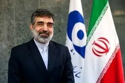 کمالوندی: فعلا نیاز به سوخت راکتور تهران را نداریم
