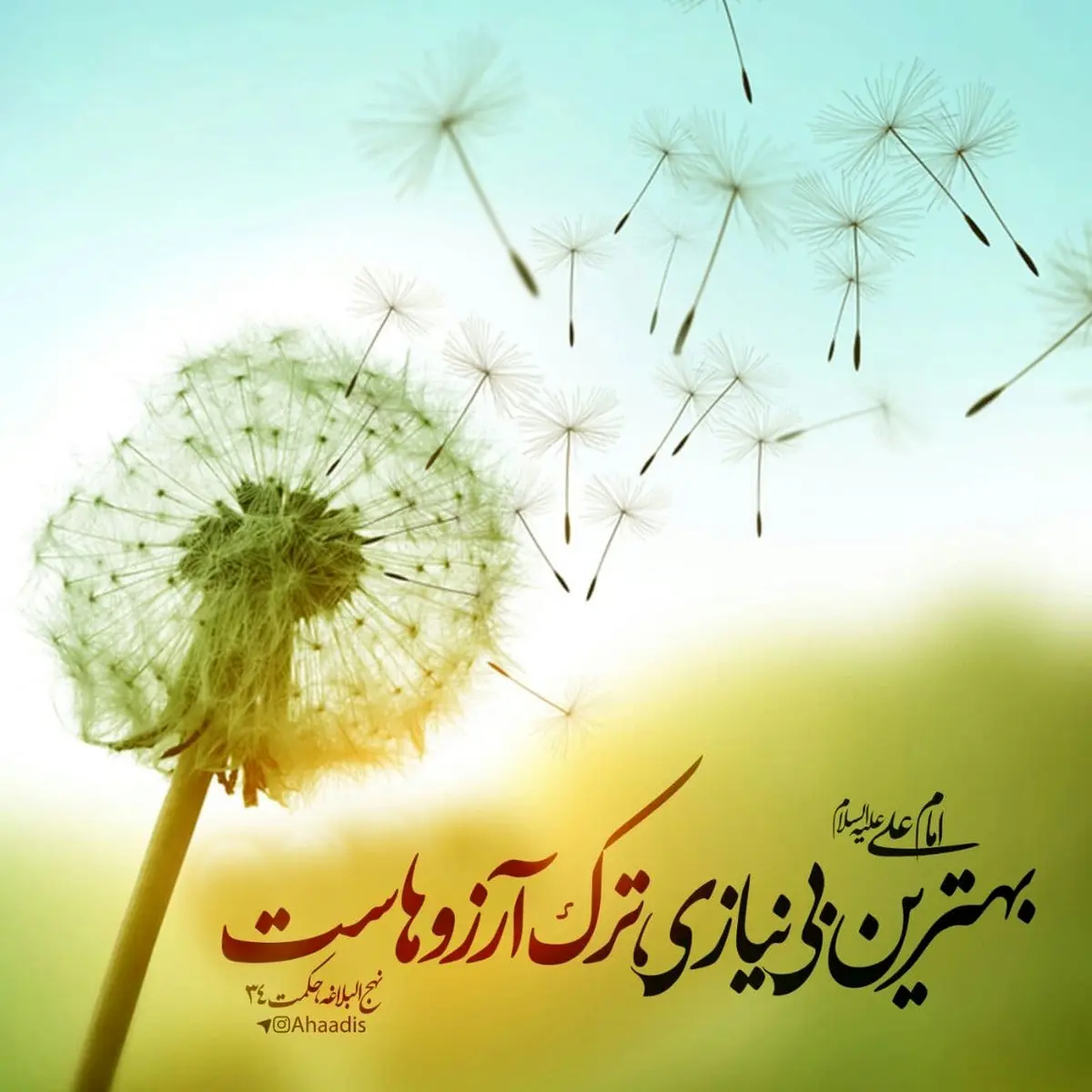 حدیث نورانی و زیبای حضرت علی (ع) در مورد ترک آرزو‌ها