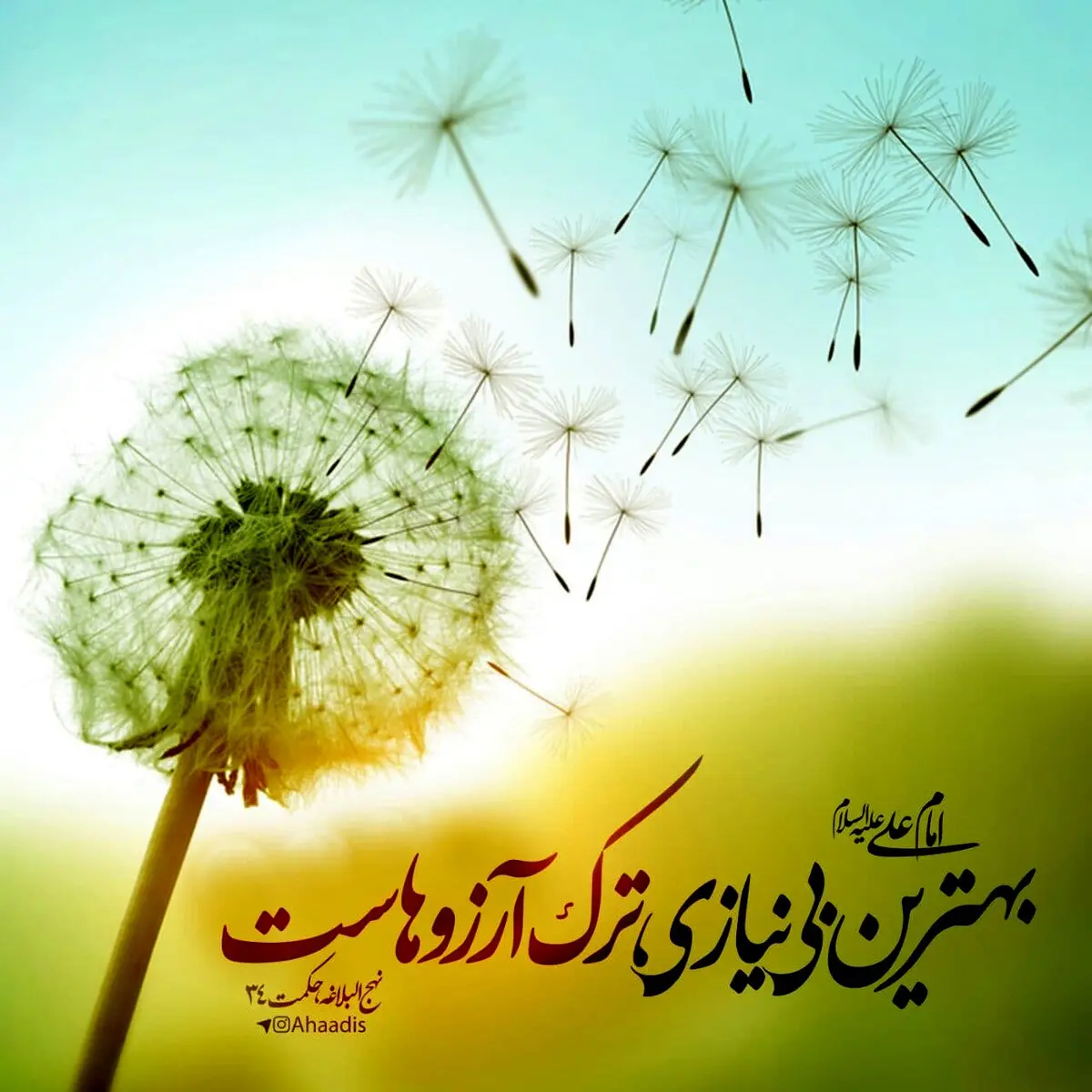 حدیث نورانی و زیبای حضرت علی (ع) در مورد ترک آرزو‌ها