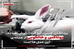 حیوان آزاری مدرن + ویدئو