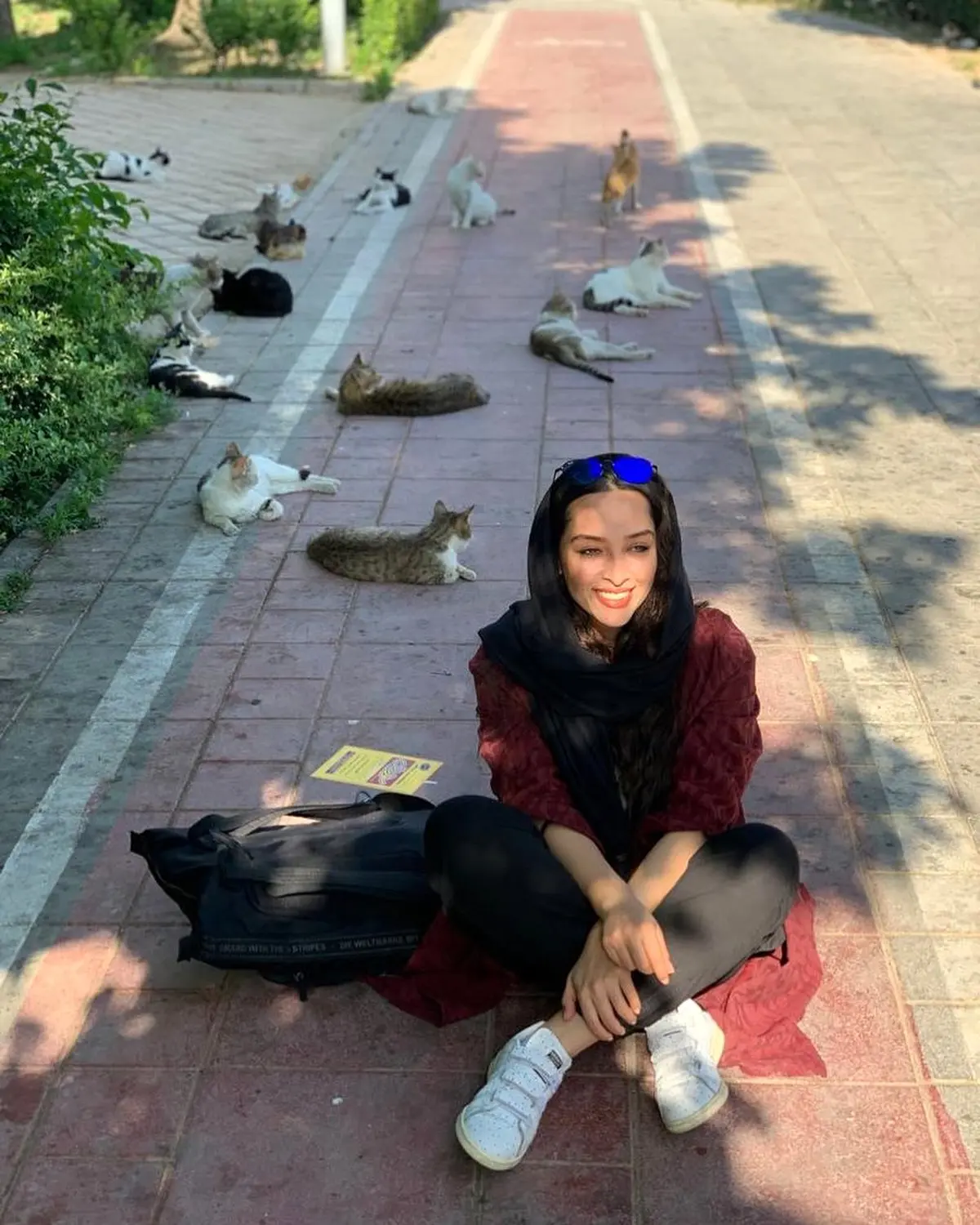 ابراز احساسات آناهیتا درگاهی به گربه های شهر + عکس