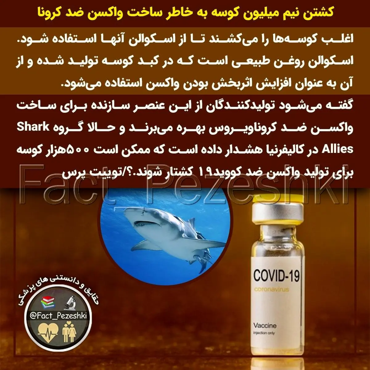 ساخت واکسن کرونا از کوسه + عکس