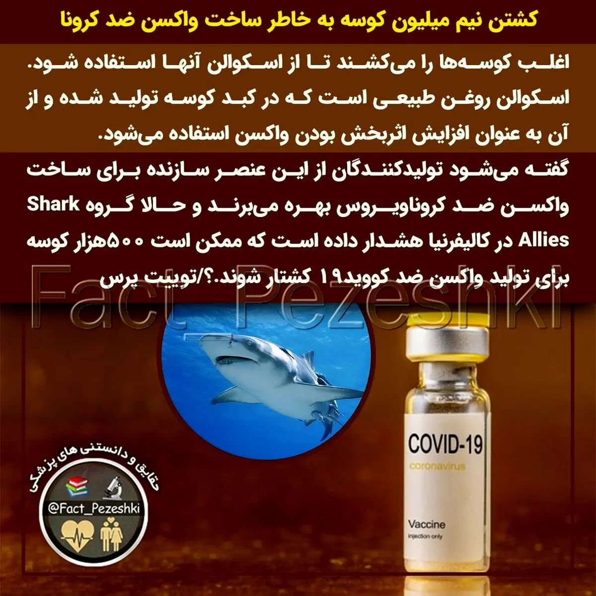 ساخت واکسن کرونا از کوسه + عکس