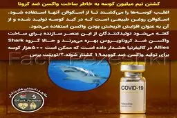 ساخت واکسن کرونا از کوسه + عکس