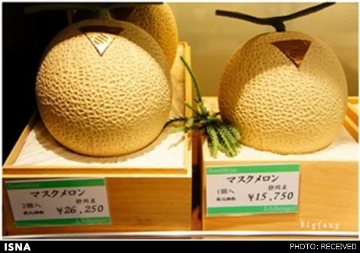 گران‌ترین میوه‌های دنیا در ژاپن + تصاویر