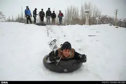 تفریح مردم در طبیعت برفی/تصاویر