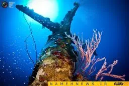 یادگاری شوم جنگ‌جهانی در اعماق دریا+تصاویر