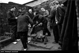 صید پره - بندر انزلی/تصاویر