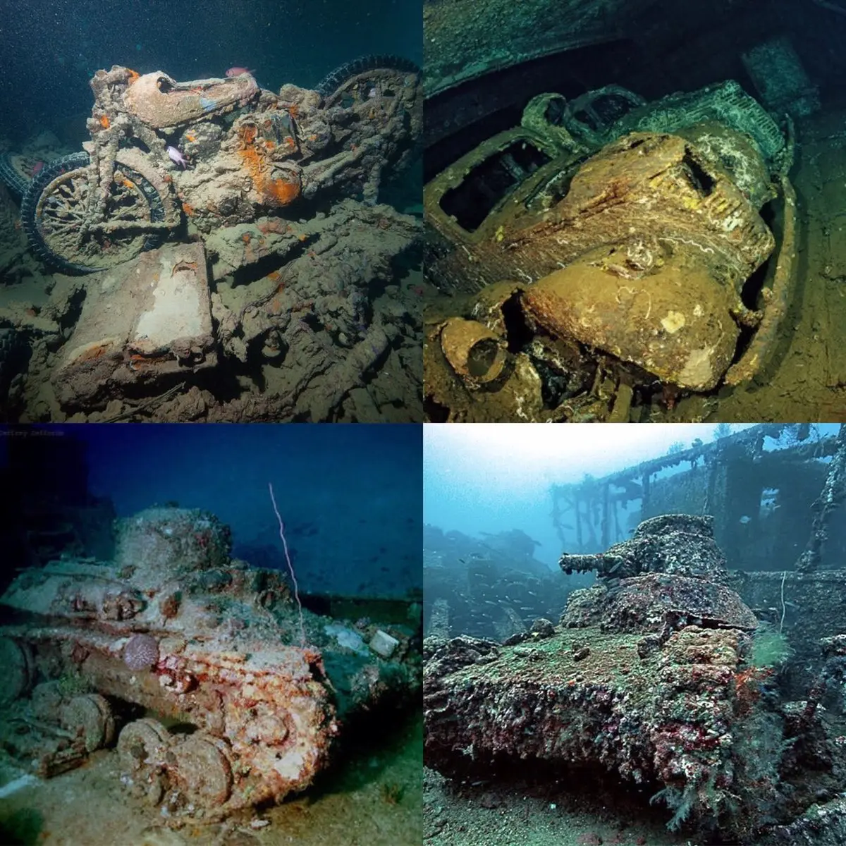 نمایشگاه ماشین در اعماق دریا/تصاویر