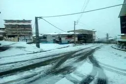 بارش برف در رامسر / عکس