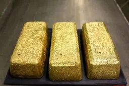 استخراج طلا به سبک روسی /تصاویر