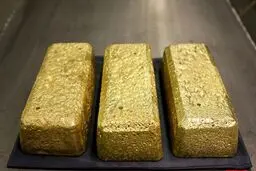 استخراج طلا به سبک روسی /تصاویر