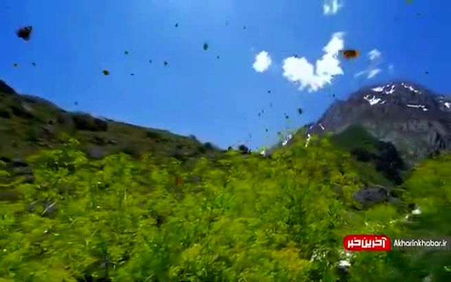 سرزمین هزاران آبشار ويدئويي است كه بايد ببينيد! + ويدئو