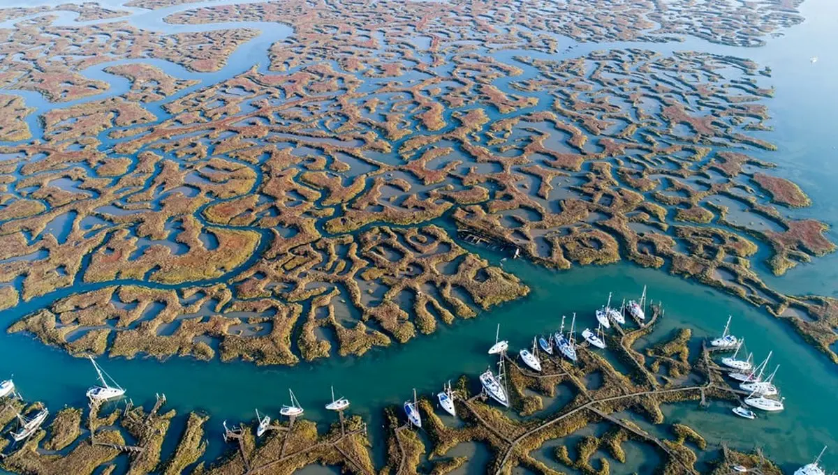 نمایی زیبا از یک بندر قایق‌رانی در انگلستان/عکس