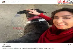 سلفی هانیه توسلی به همراه محافظ وفادارش!