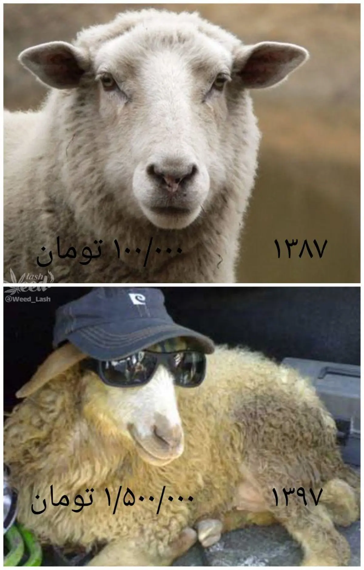 تصویری خنده دار و قابل تامل از چالش ۱۰سال پیش / عکس