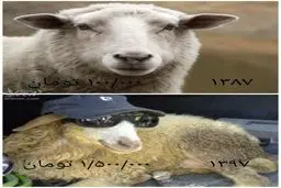 تصویری خنده دار و قابل تامل از چالش ۱۰سال پیش / عکس