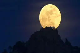 عکس روز ناسا/ مردی را در ماه می‌بینید؟