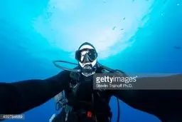 سلفی های عجیب زیر آب/تصاویر