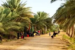 مسیری ناشناخته و زیبا برای رسیدن به کربلا / تصاویر