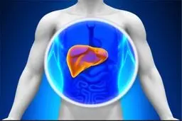 ماده‌ای که نقش کلیدی در جلوگیری از «سیروز کبدی، سکته قلبی و مغزی» دارد