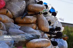 عبور از مرز بحران در حوزه اعتیاد/شناسایی ۵۴۰ نوع ماده مخدر و محرک/ ۵۳ درصد طلاق ها ناشی از اعتیاد/ ۸۳ درصد سرقت های خرد را معتادان انجام می دهند