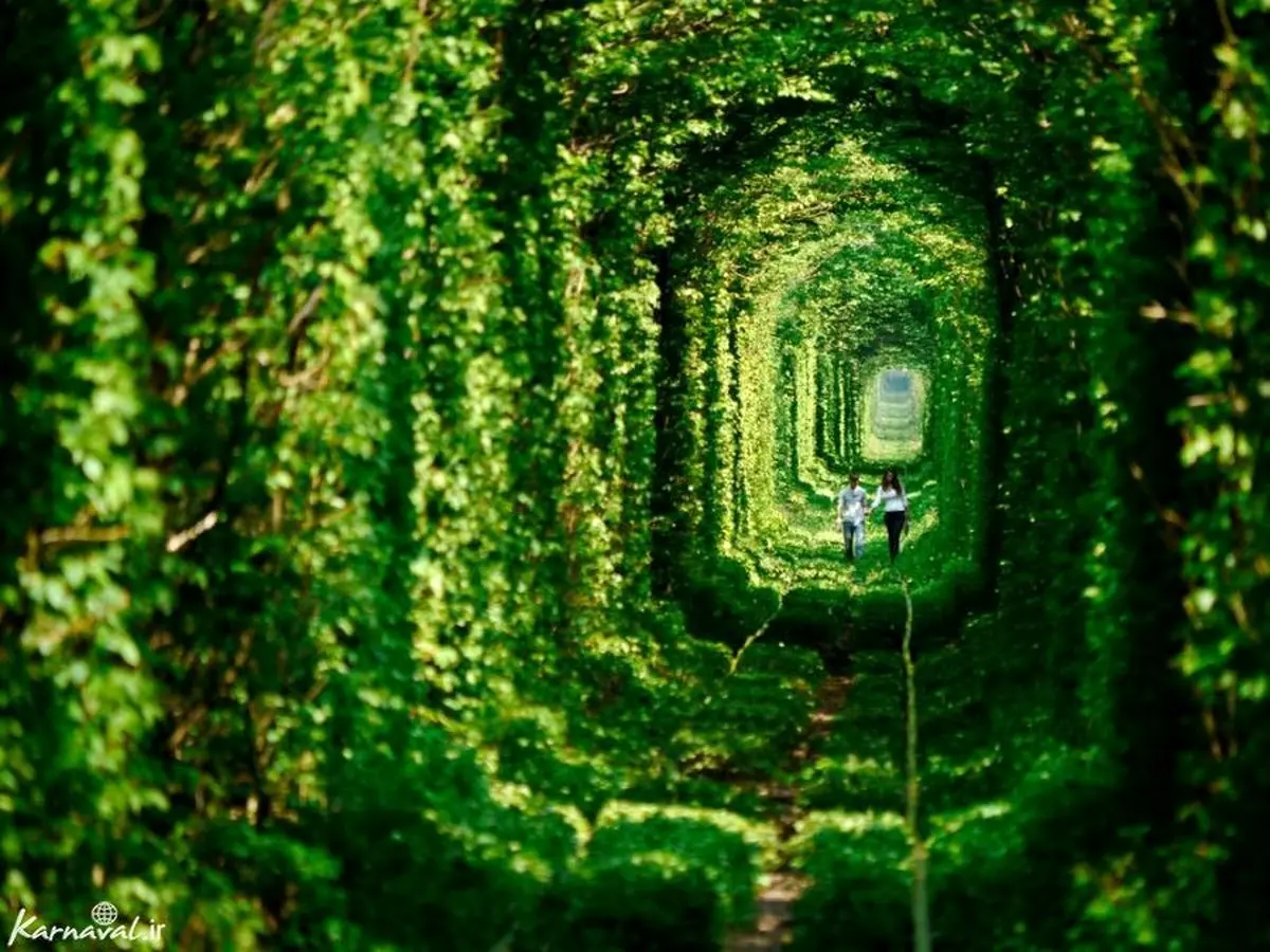 تونل عشق در کشور اوکراین / عکس