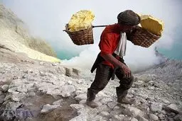 استخراج طاقت‌فرسای گوگرد در اندونزی/عکس روز نشنال جئوگرافیک